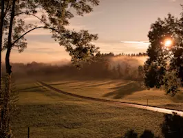 Landschaft im Morgengrauen. Hinter einem Baum geht die Sonne auf.