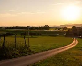 Landwirtschaftliche Aufnahme mit Sonnenaufgangsstimmung © Daniel Ammann, all rights reserved
