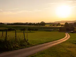 Landwirtschaftliche Aufnahme mit Sonnenaufgangsstimmung © Daniel Ammann, all rights reserved