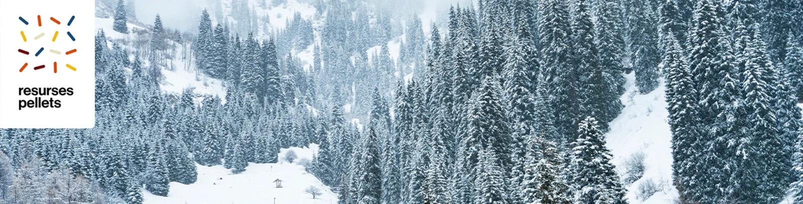 Holzstapel in Schneelandschaft im Val Surses