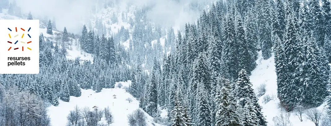 Holzstapel in Schneelandschaft im Val Surses