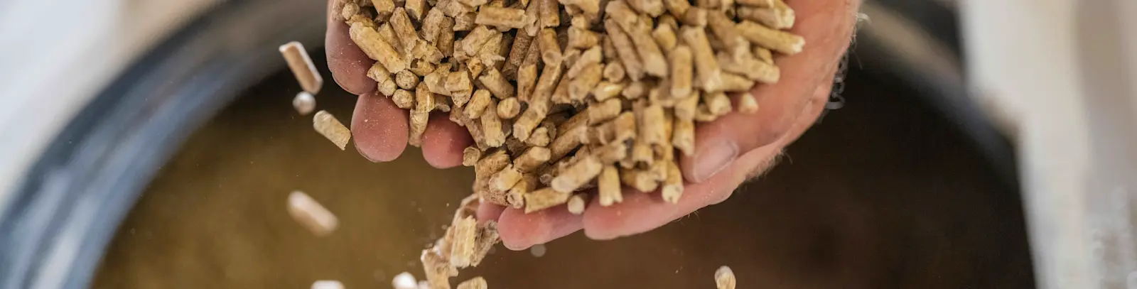 Hand gefüllt mit Holzpellets