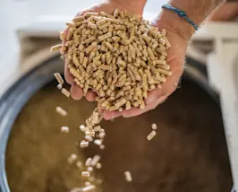 Hand gefüllt mit Holzpellets