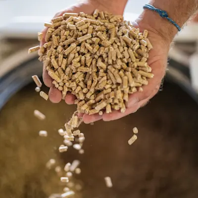 Hand gefüllt mit Holzpellets
