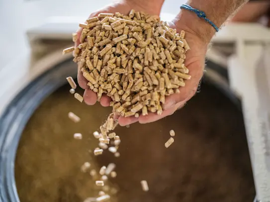 Hand gefüllt mit Holzpellets