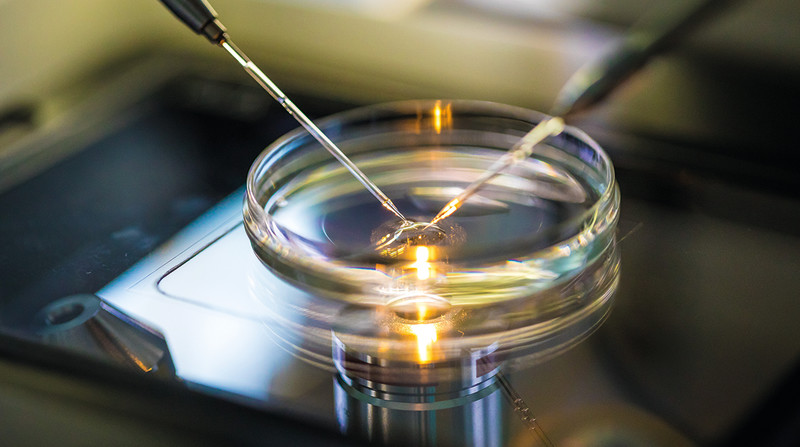 Knstliche Befruchtung (IVF) im Ausland | Qunomedical