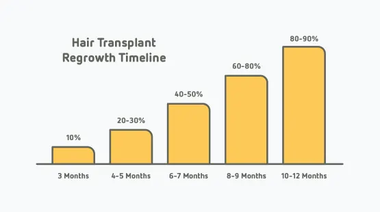 Graph showing the expected hair transplant regrowth timeline.