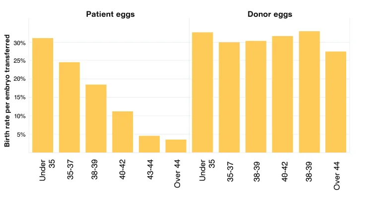 Graph showing a comparison of IVF success rates using donor and patient eggs across age groups.