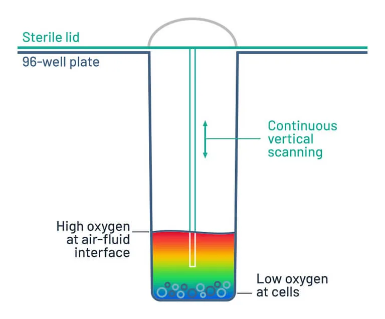 At Lucid Scientific, we understand the importance of efficiency and reproducibility in scientific research. That's why our innovative approach not only provides unique insight into dynamic changes in cellular metabolism, but the setup and usage is radically simple. With superior robustness, reliability, reproducibility, and scalability, our platform empowers scientists to delve deeper into metabolic processes with confidence.