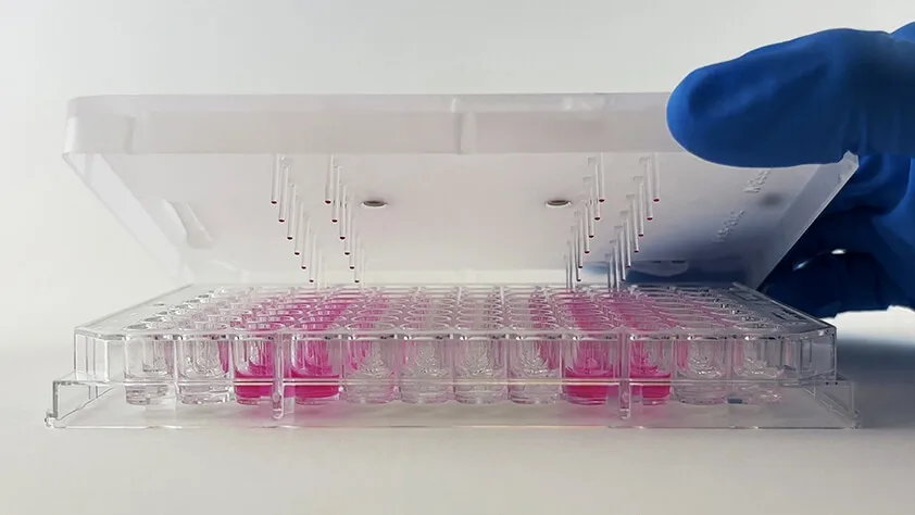 <ul>
  <li>Access to the Resipher 32-channel system with 32 sensing probes for up to 4 weeks of continuous metabolic monitoring</li>
  <li>Two sterile sensing lids for your experiments</li>
  <li>Customized probe lengths to match your specific research needs</li>
  <li>Virtual training and setup assistance</li>
  <li>Ongoing support and data analysis guidance</li>
  <li>Pre-paid return shipping materials</li>
  <li>Full ownership of your experimental data for publications, grants, and presentations</li>
  <li>Opportunity for conference presentation support</li>
  <li>Special discounts on purchases of 96-channel or 32-channel Resipher systems – plus additional Referral Rewards!</li>
</ul>