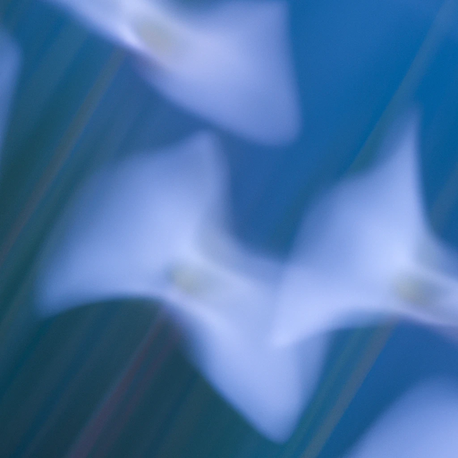 OpenAI’s technology explained