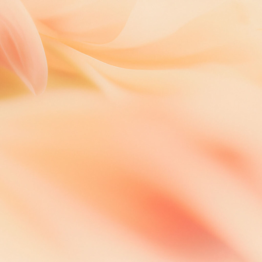  A Primer on the EU AI Act: What It Means for AI Providers and Deployers 