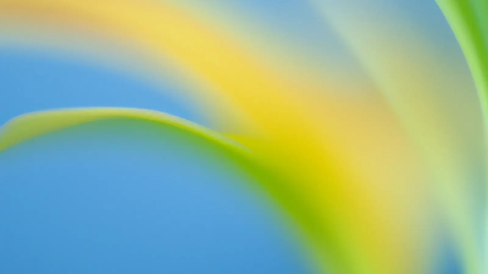 Nakasone's Cybersecurity Expertise Joins Forces with OpenAI