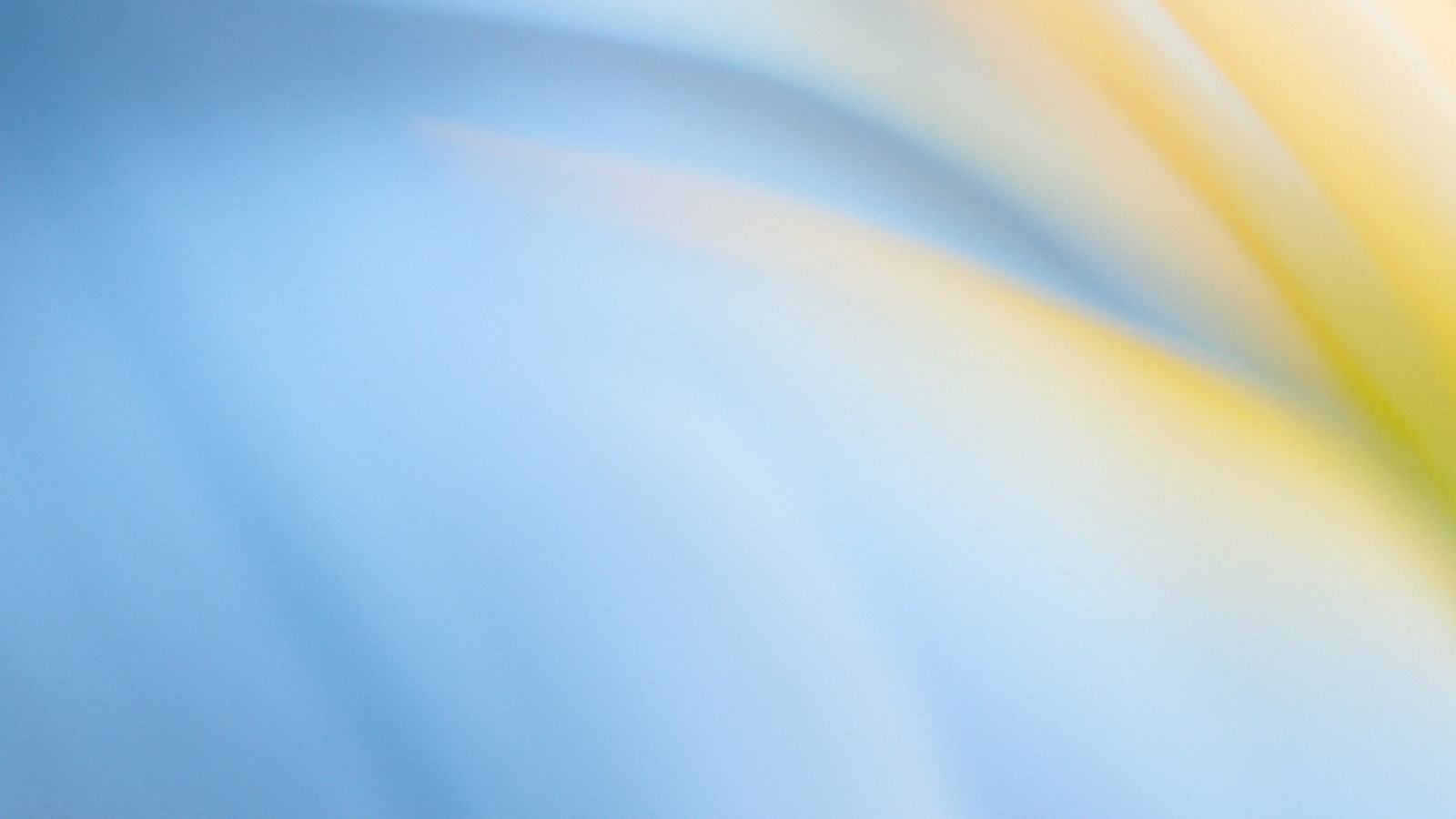 Supporting nonprofit and community innovation