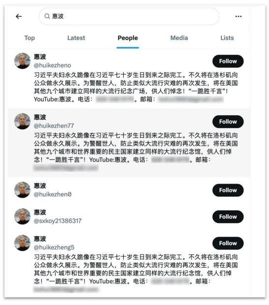 X people search results for Hui Bo showing multiple accounts with the same name and profile picture.