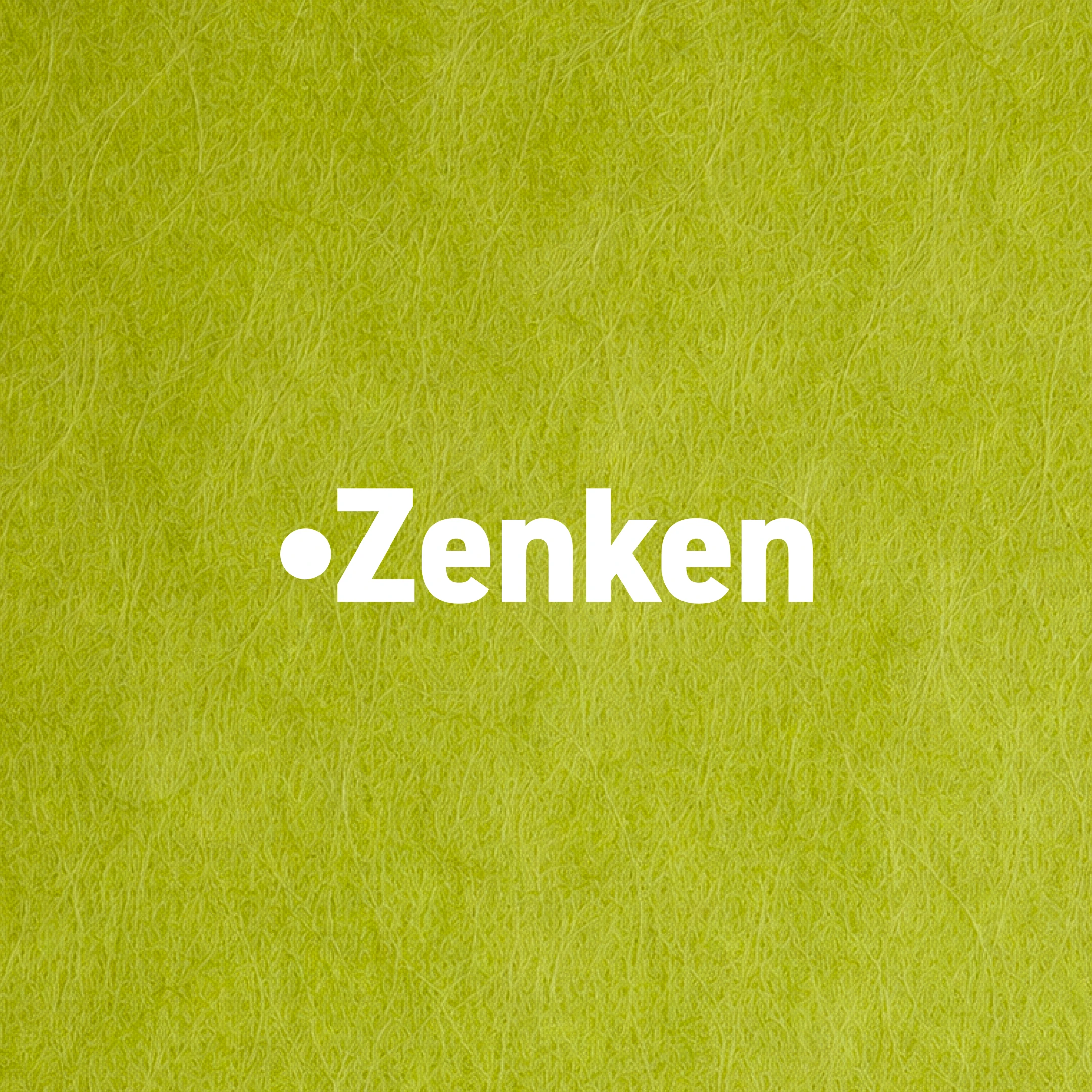 oai Zenken 1x1
