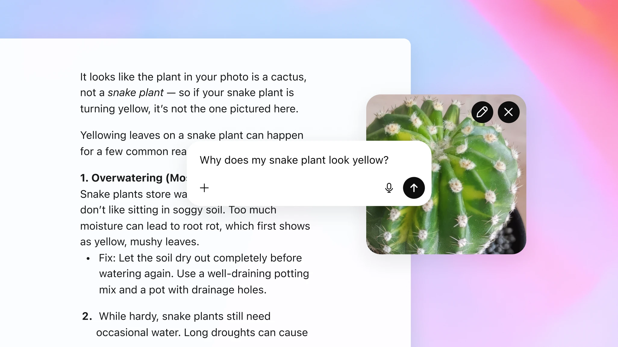 Screenshot of a ChatGPT conversation about plant care. The user’s question is: “Why does my snake plant look yellow?” accompanied by an image of a green cactus with yellow patches, not a snake plant. The response begins: “It looks like the plant in your photo is a cactus, not a snake plant—so if your snake plant is turning yellow, it’s not the one pictured here.” The answer then explains common causes of yellowing leaves in snake plants, starting with overwatering and including a fix to let soil dry out before watering again. The background has a soft gradient of pink, purple, and blue.