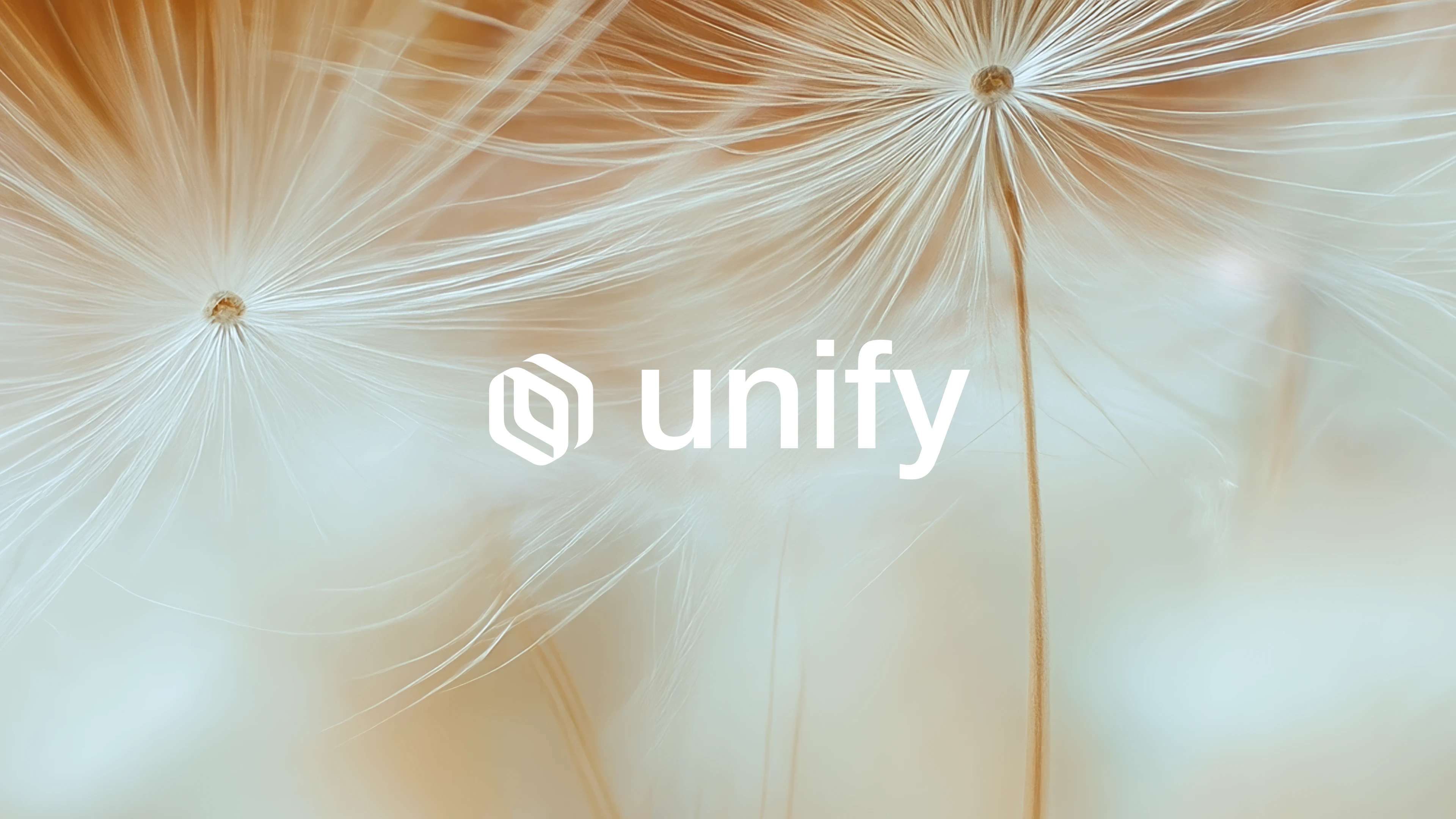 Unify logo in white against a backdrop of dandelion seed heads
