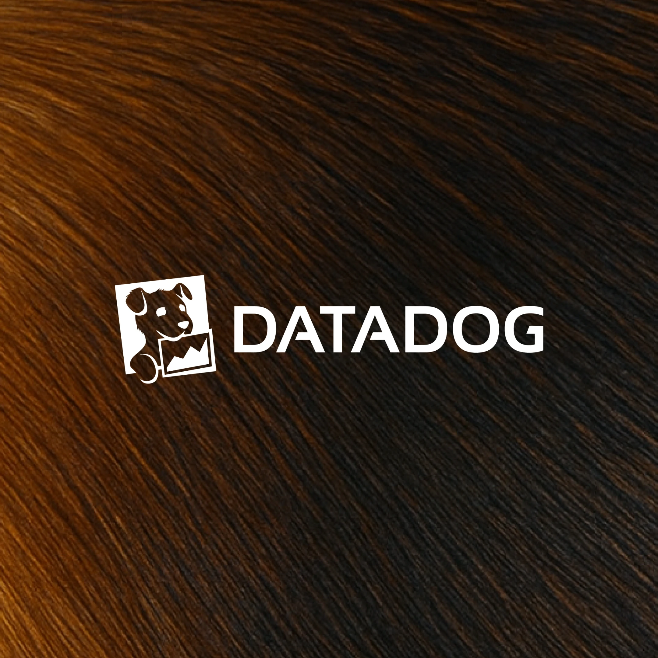 oai datadog 1x1