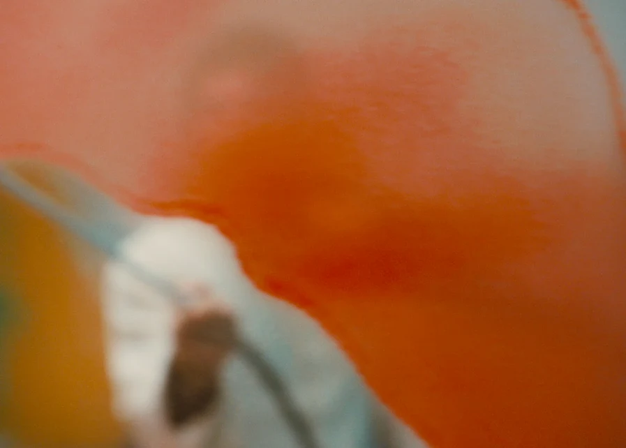 Close-up of a paintbrush spreading orange paint across a surface.