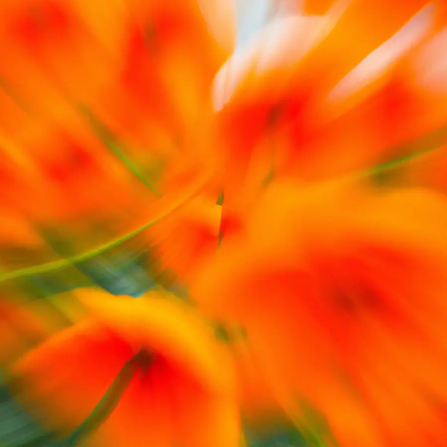 Jukebox: AI Venture into Music Creation