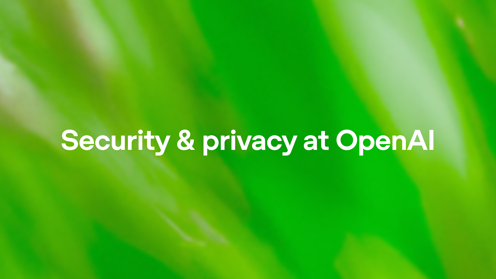 Security and privacy at OpenAI | OpenAI