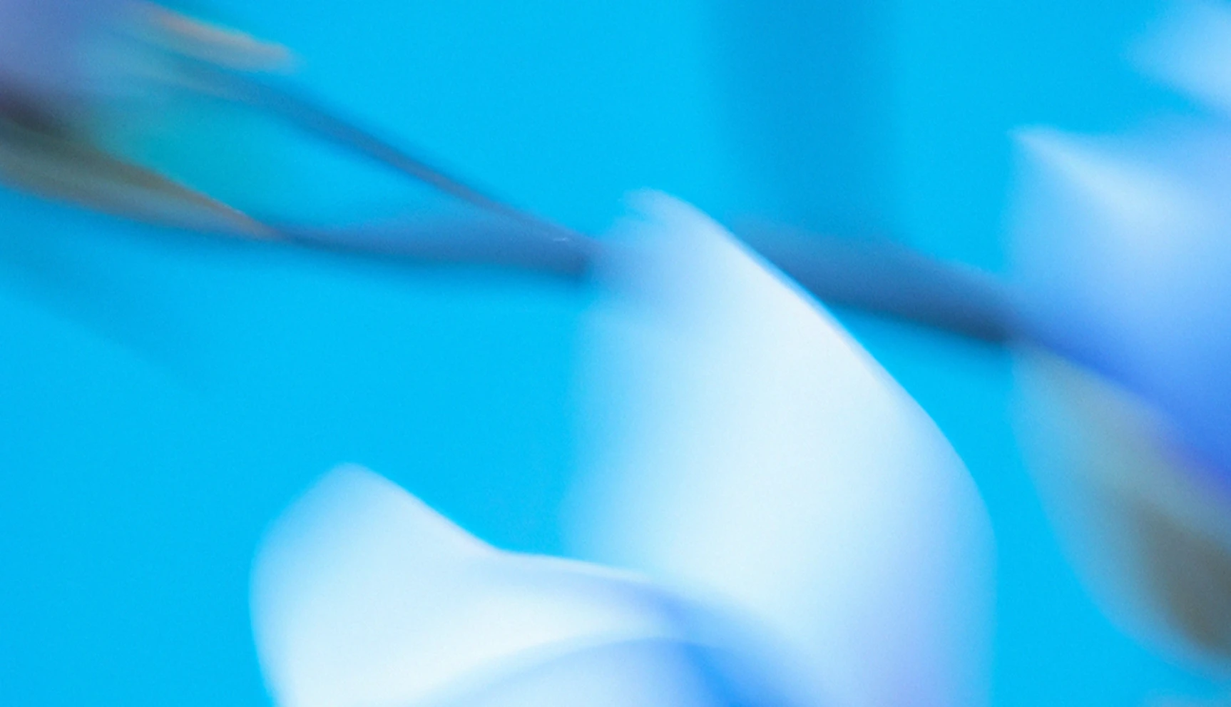 Abstract image with dynamic motion blur of white and blue shapes against a bright cyan background, creating a sense of flow and energy.