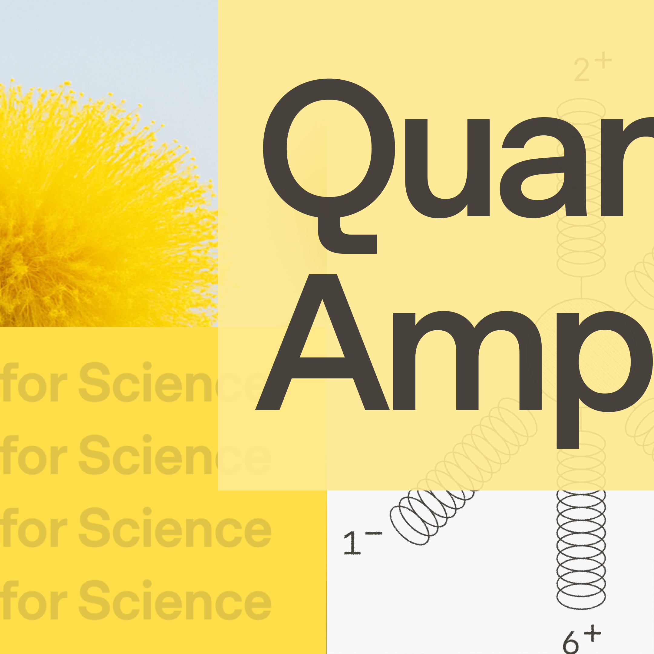Quantum amplitudes art