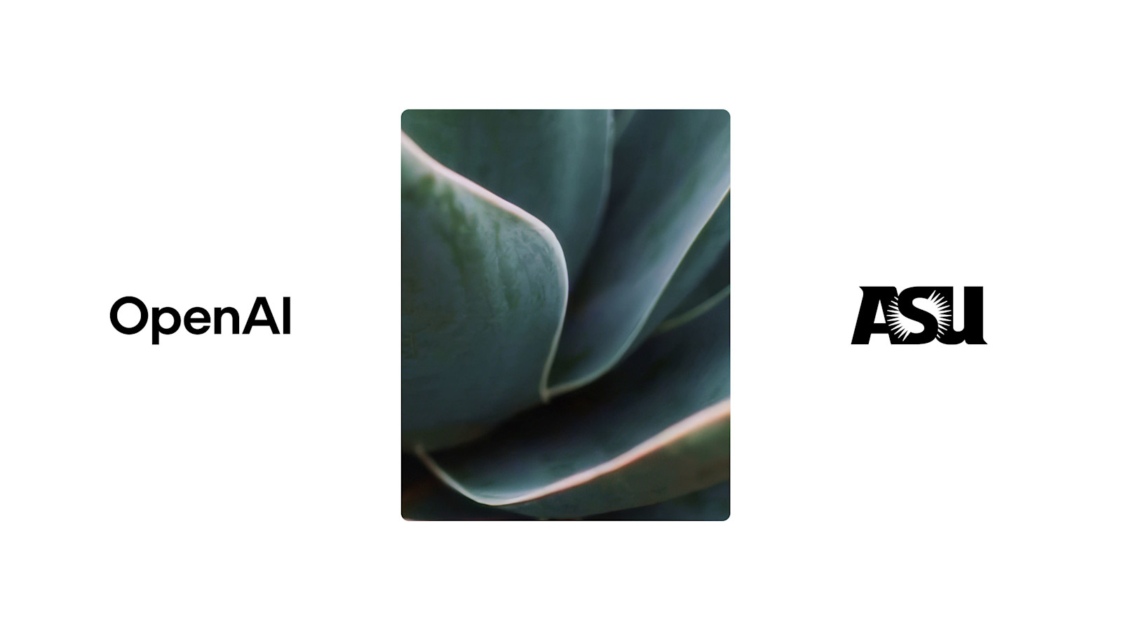 ASU's ChatGPT Initiative: A Forward-Looking Experiment in Education