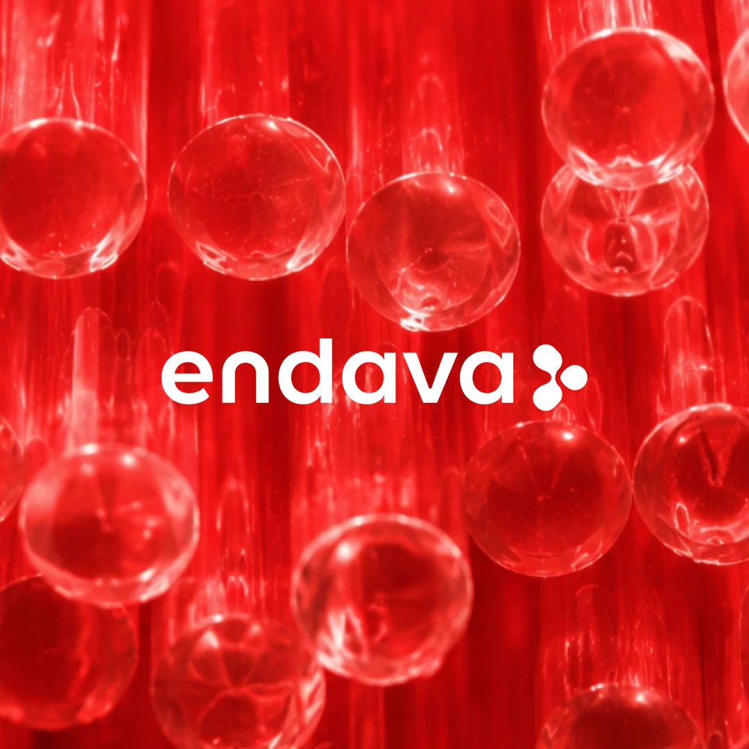 oai Endava 1x1