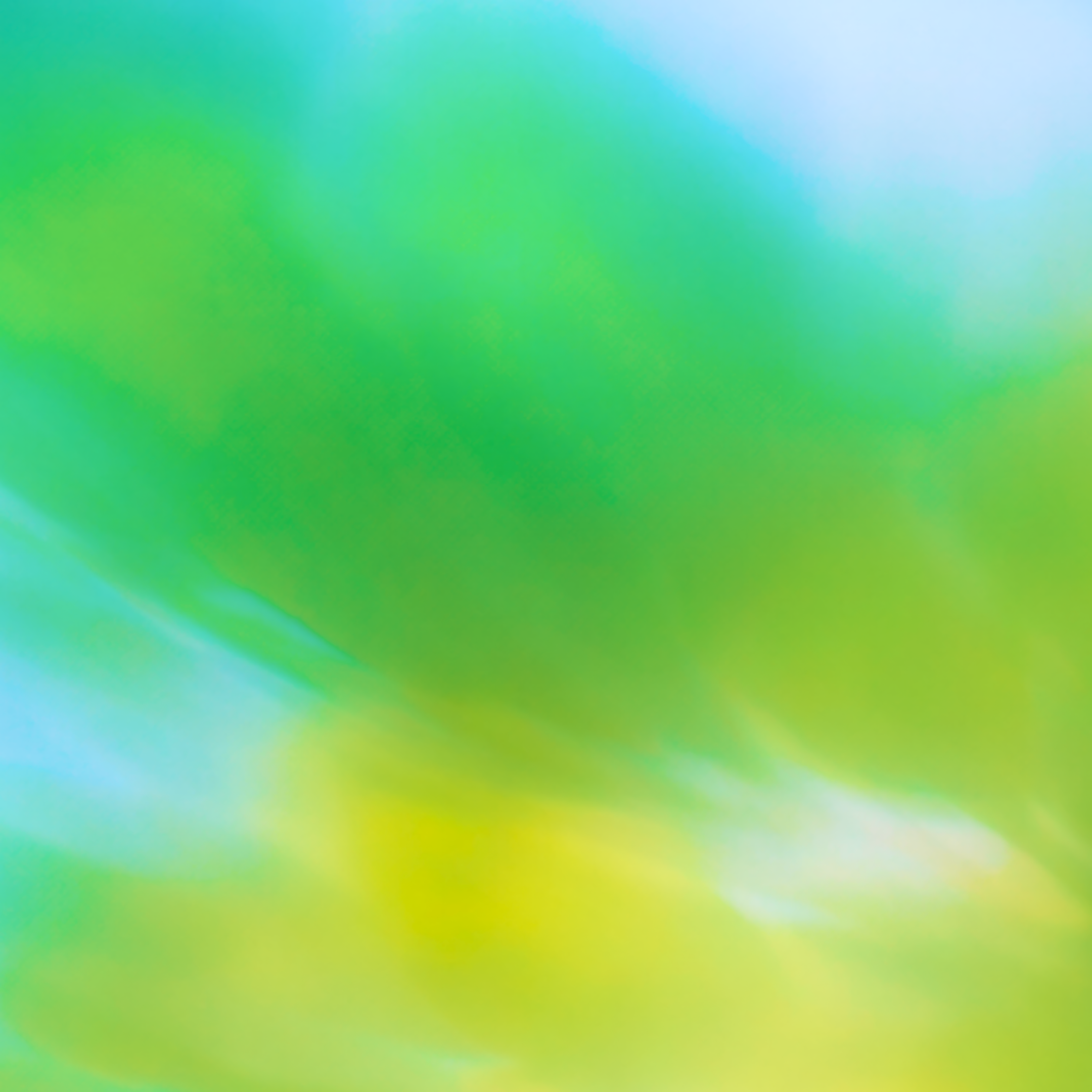 Introducing the Adoption news channel