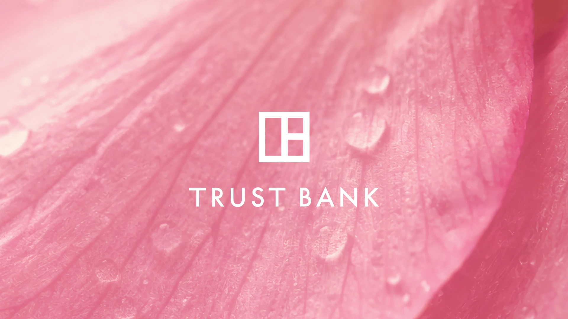 TrustBank Logo on pink texture background