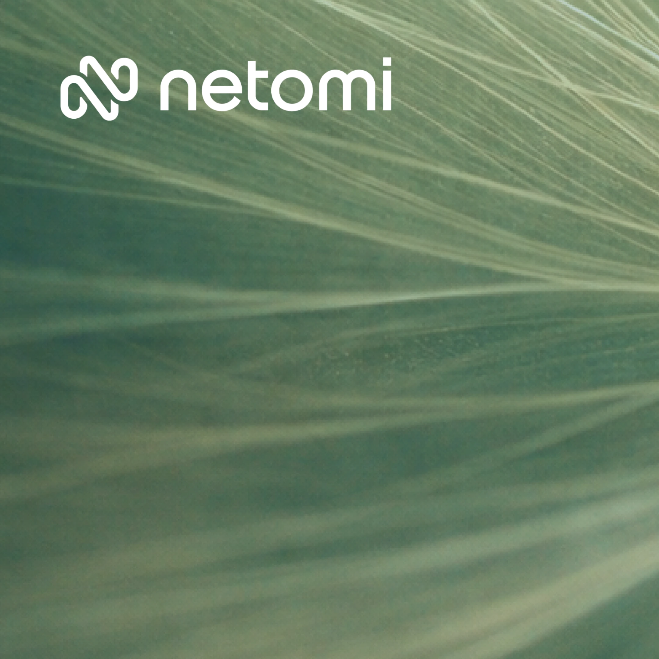 White “netomi” logo with a stylized “N” icon on a soft green abstract background with flowing, wave-like textures.
