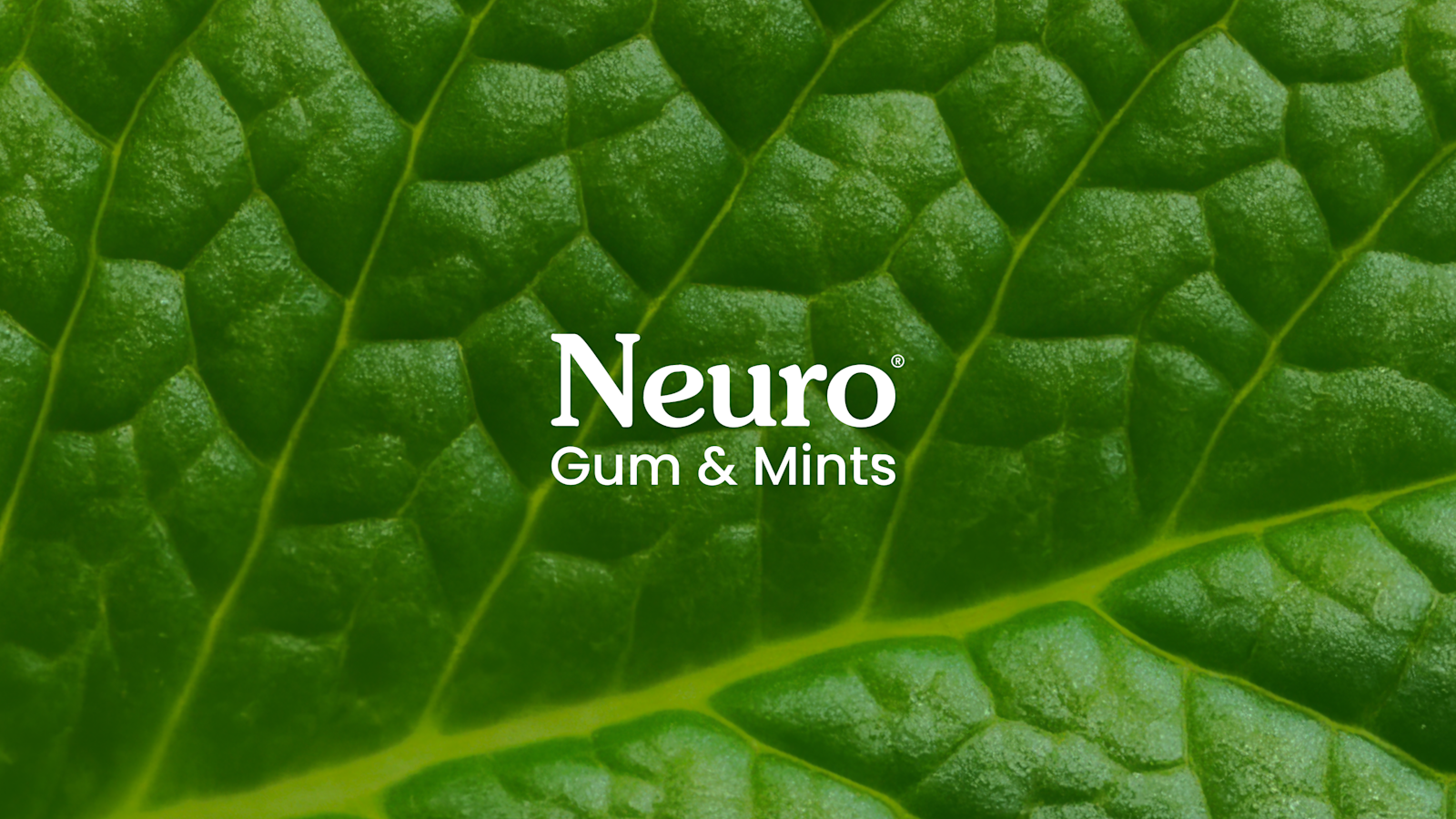 Neuro drives national retail wins with ChatGPT Business