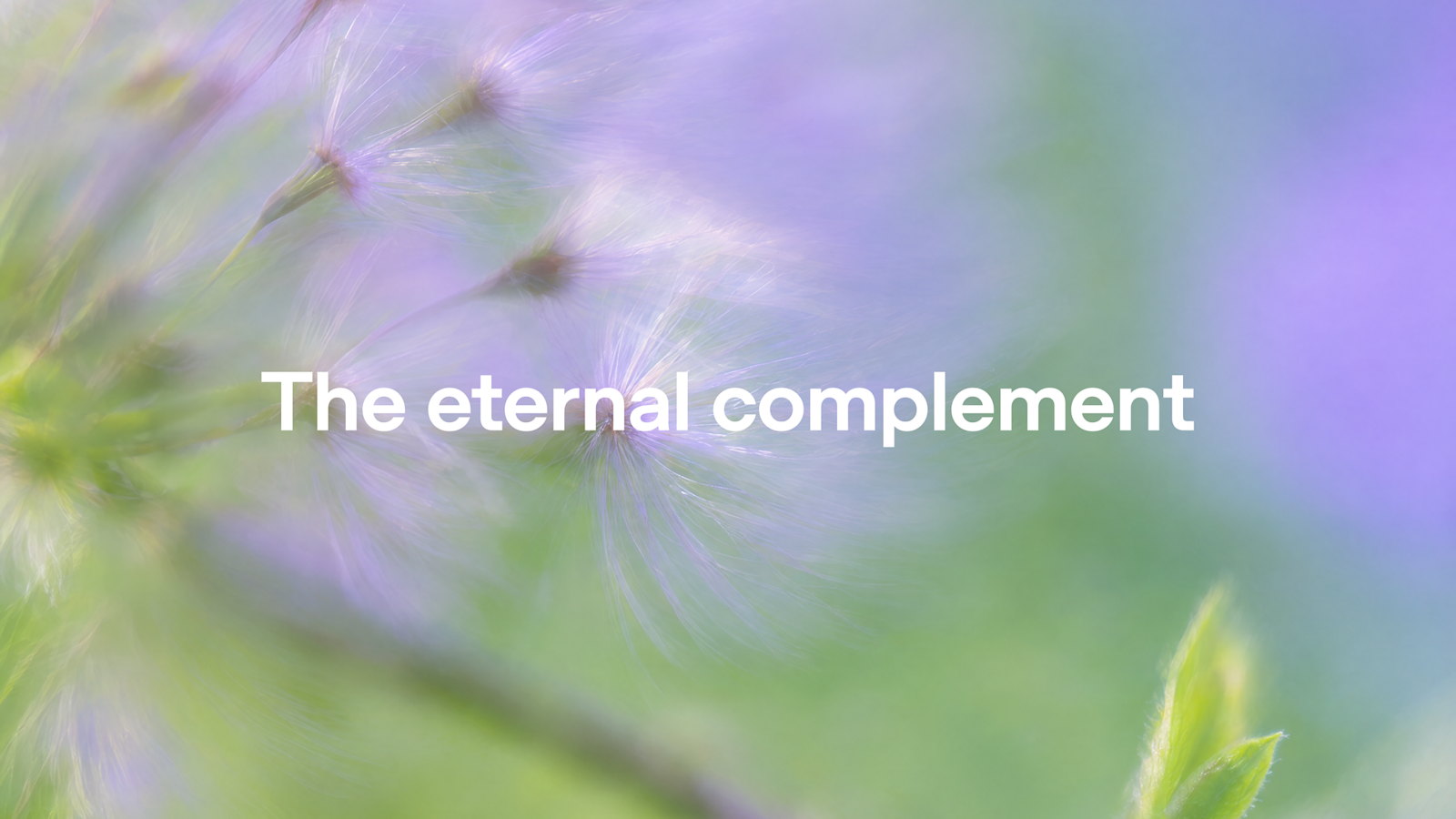 The eternal complement