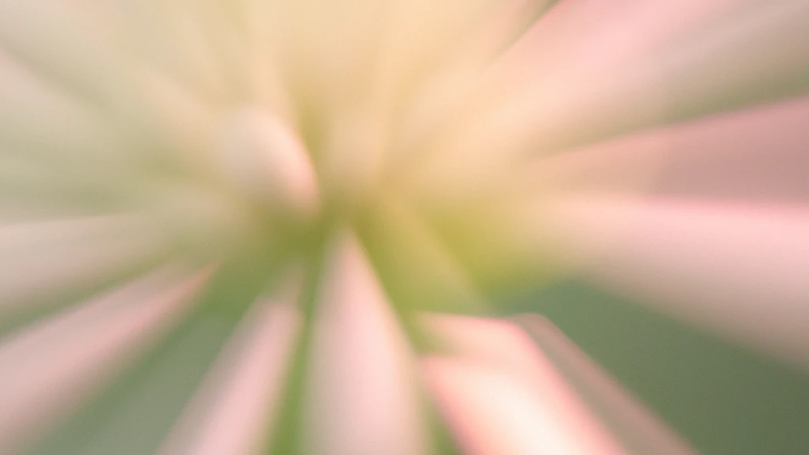 Finding GPT-4’s mistakes with GPT-4