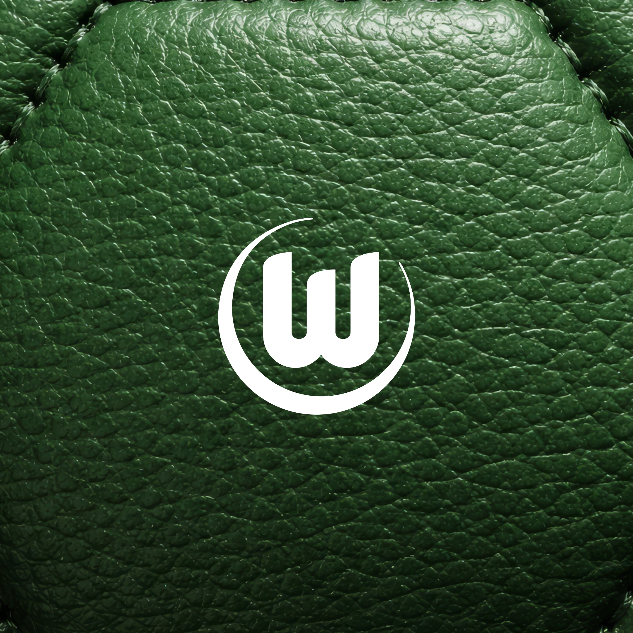 oai Vfl Wolfsburg 1x1