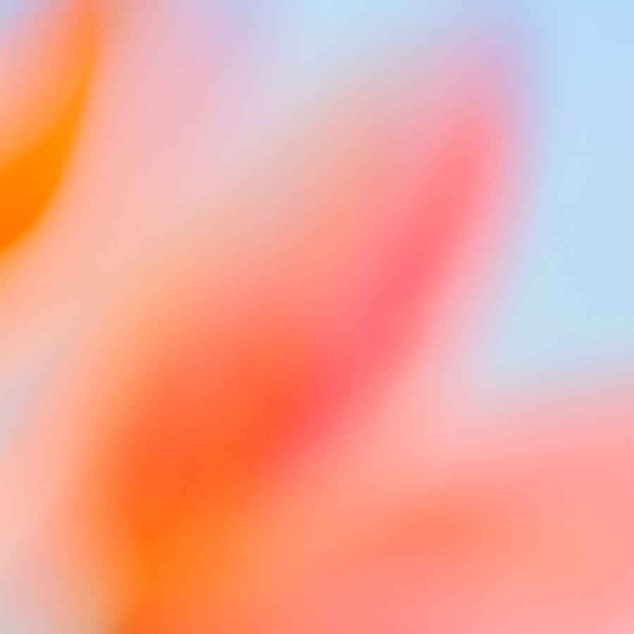 Introducing OpenAI for Ireland