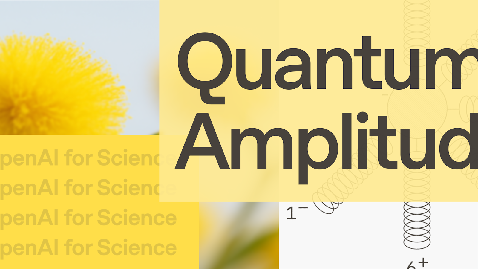 images.ctfassets.net image