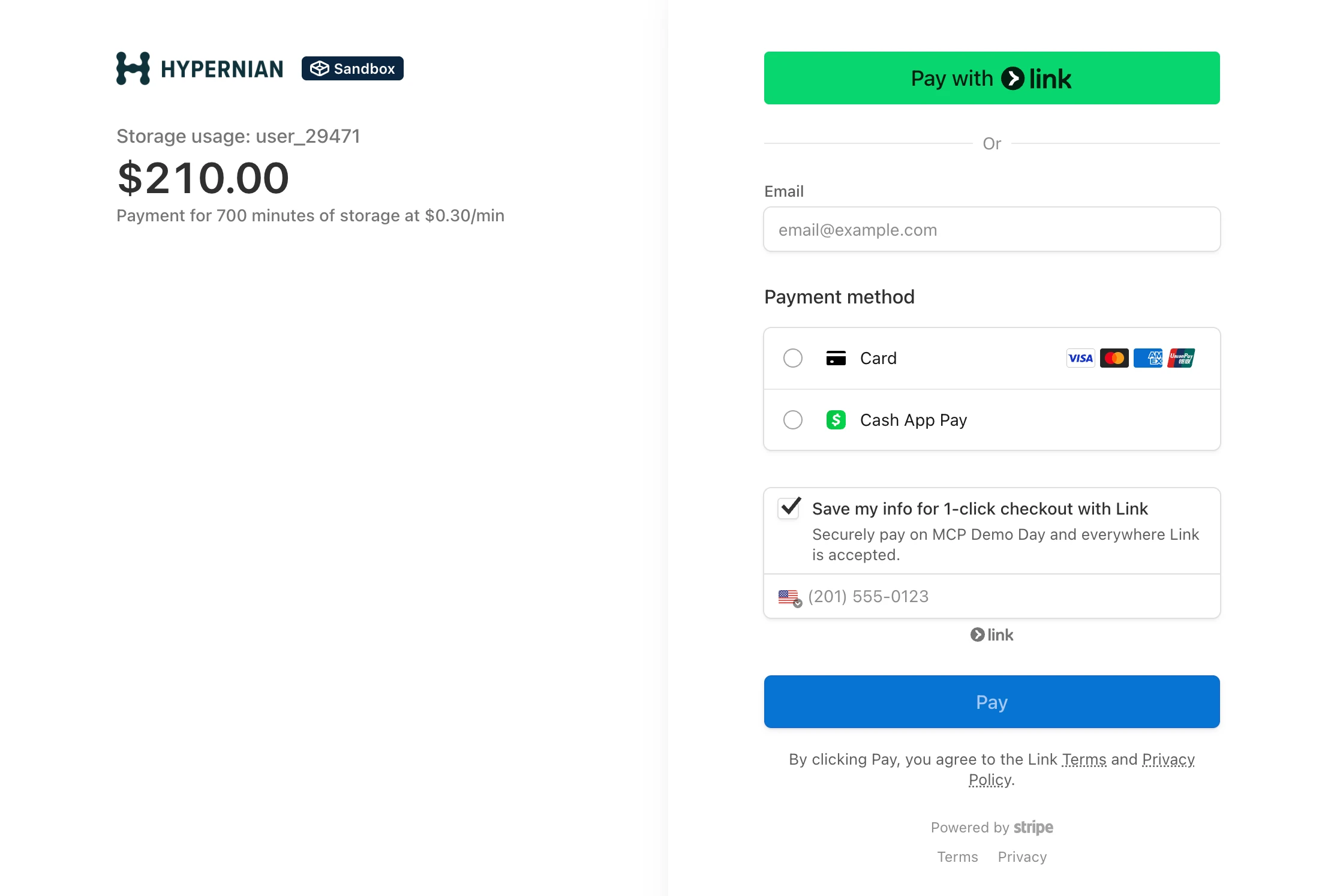 Hypernian checkout: $210 storage charge with Link, card, or Cash App Pay options and a ‘Pay’ button.