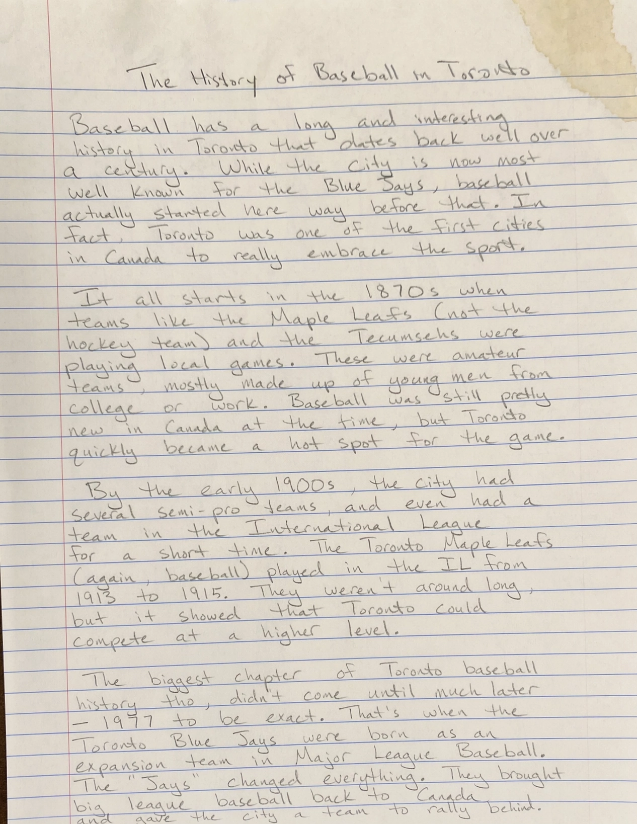 Generated example for Handwritten essay