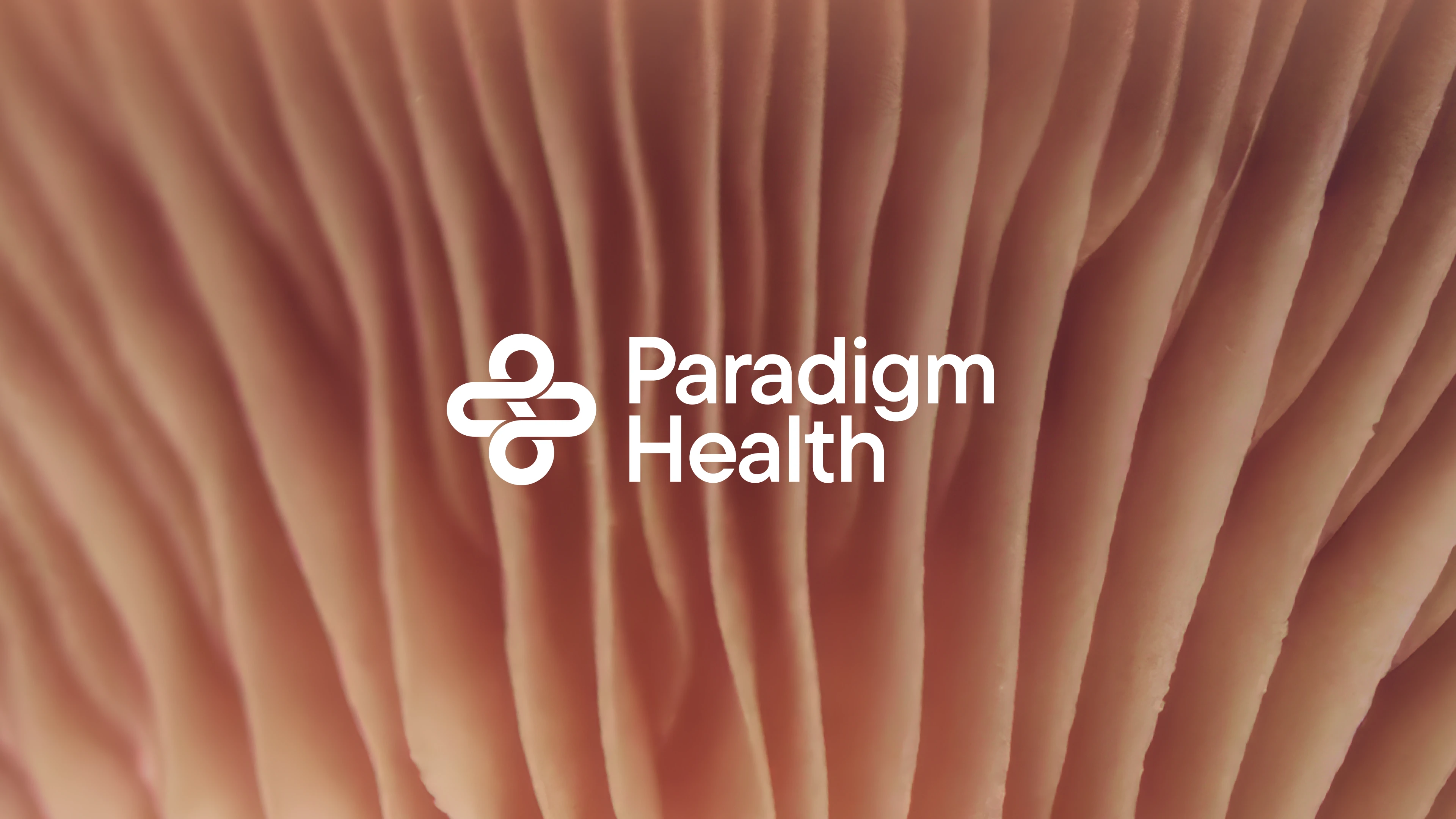 Paradigm Health logo over a close-up background of soft, textured, wavy lines in neutral tones.