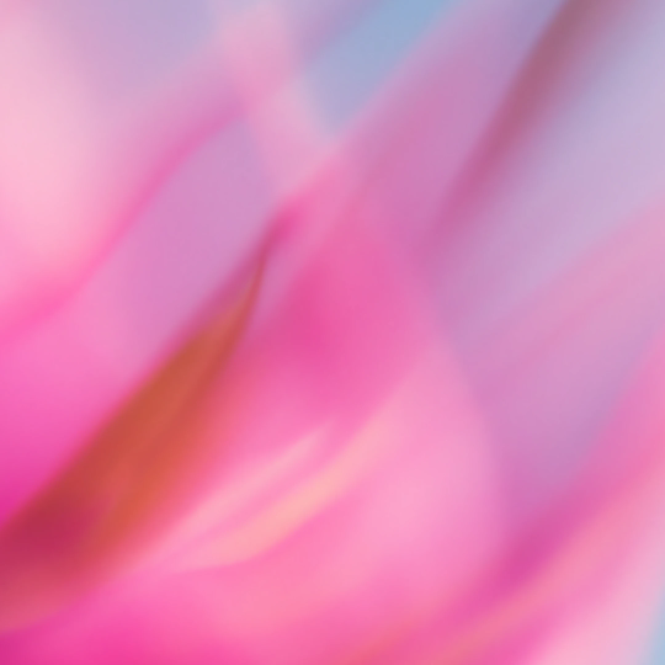 Horizon 1000：推进人工智能在初级医疗保健中的应用