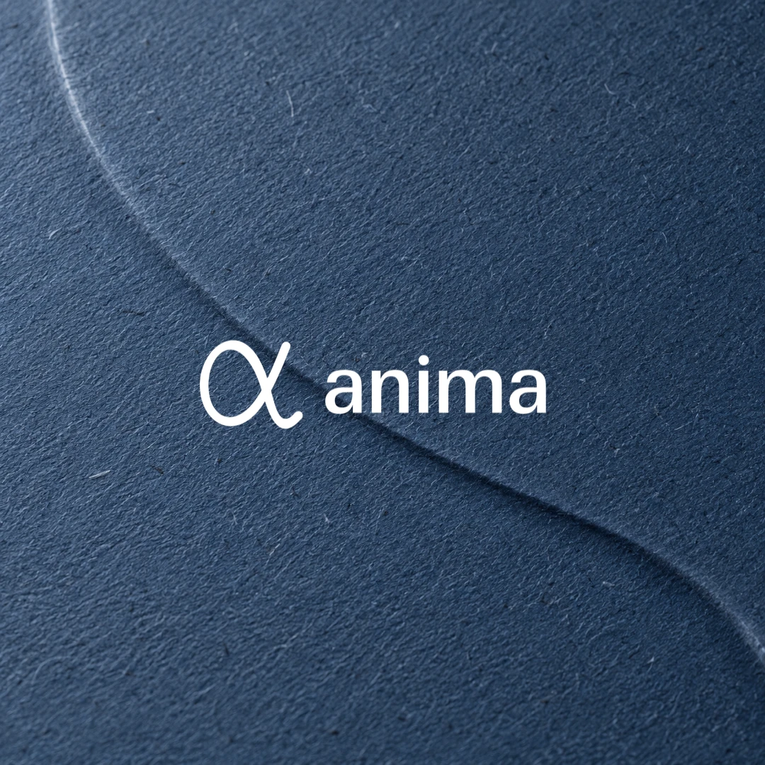 Anima pressed pathways — Cover