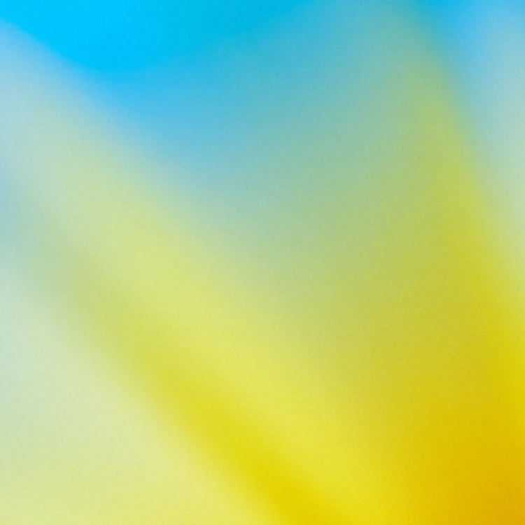 欢迎使用 VibeAny