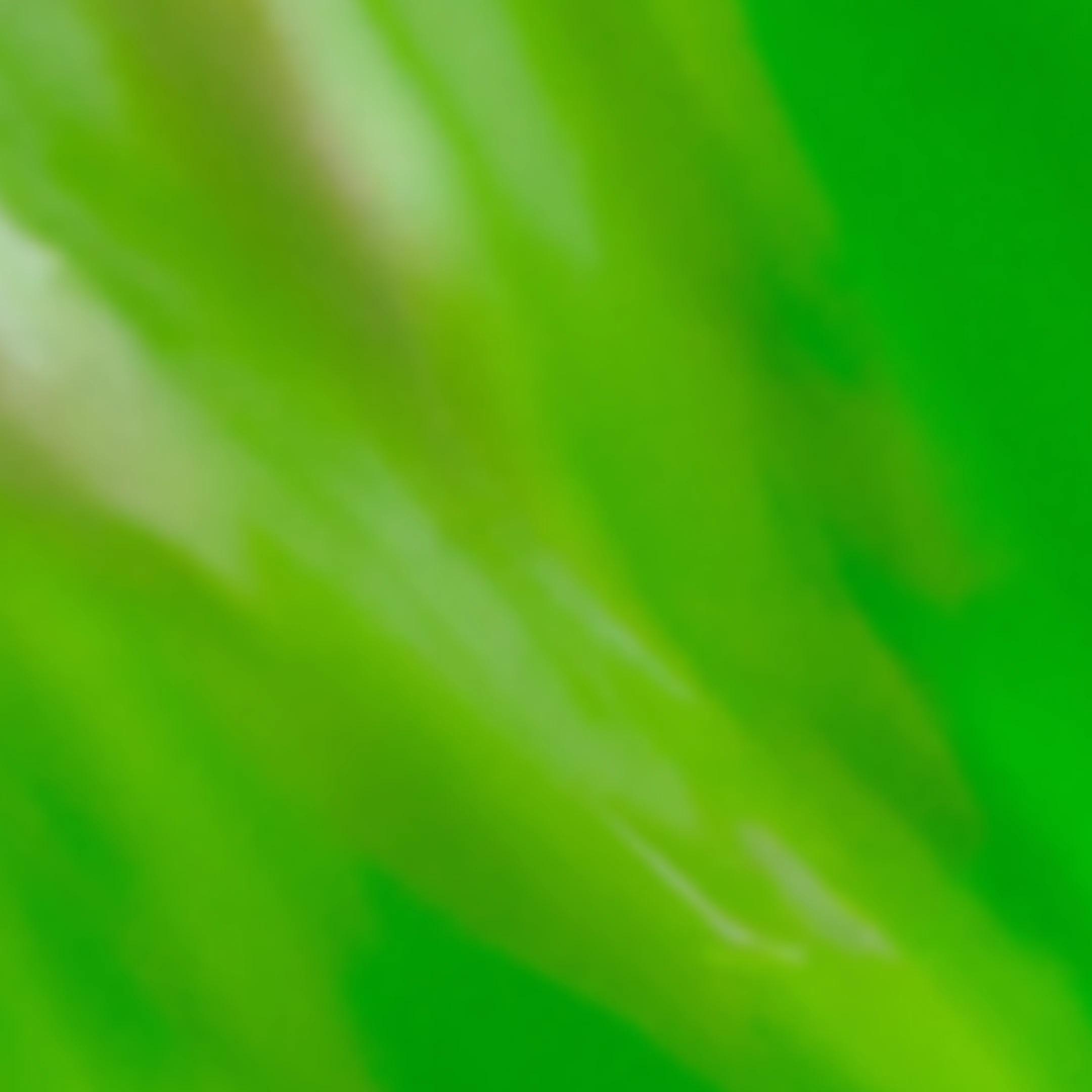 Security and privacy > Cover Image