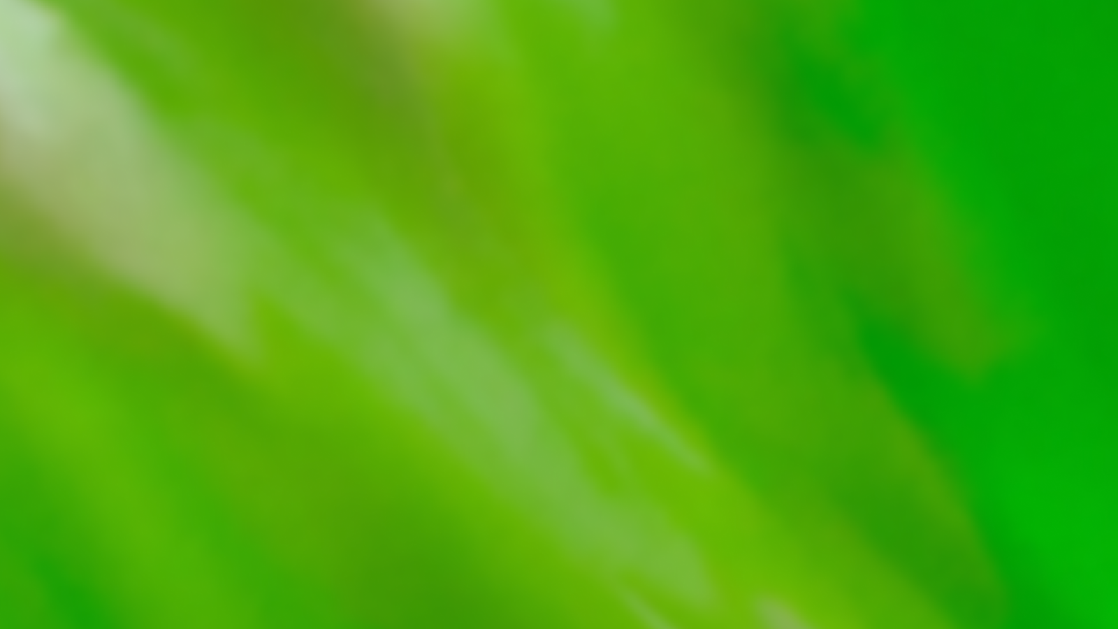 Security and privacy at OpenAI