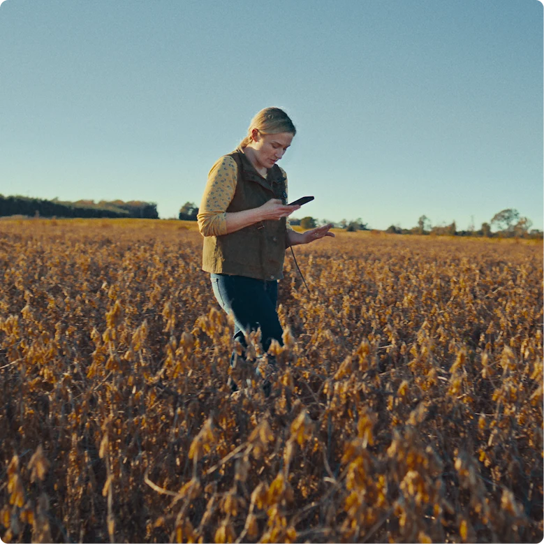A photograph of a woman using ChatGPT to help her work on a seed farm