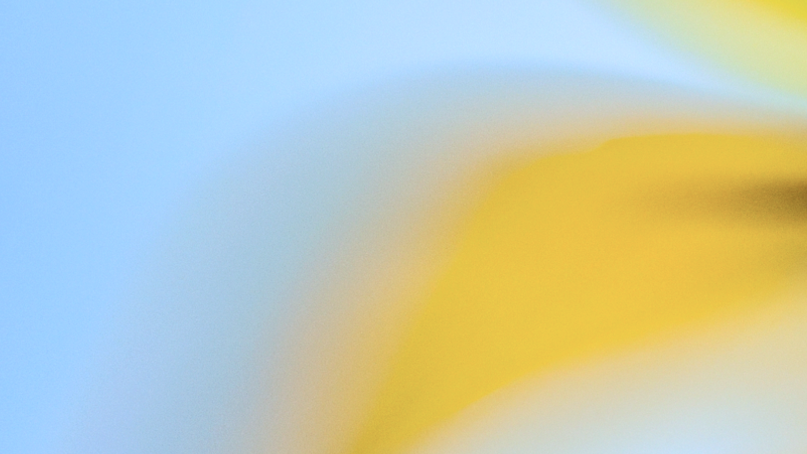 我們對 Axios 開發者工具遭入侵事件的回應