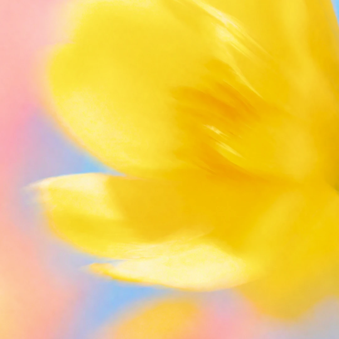 Our Principles > card image